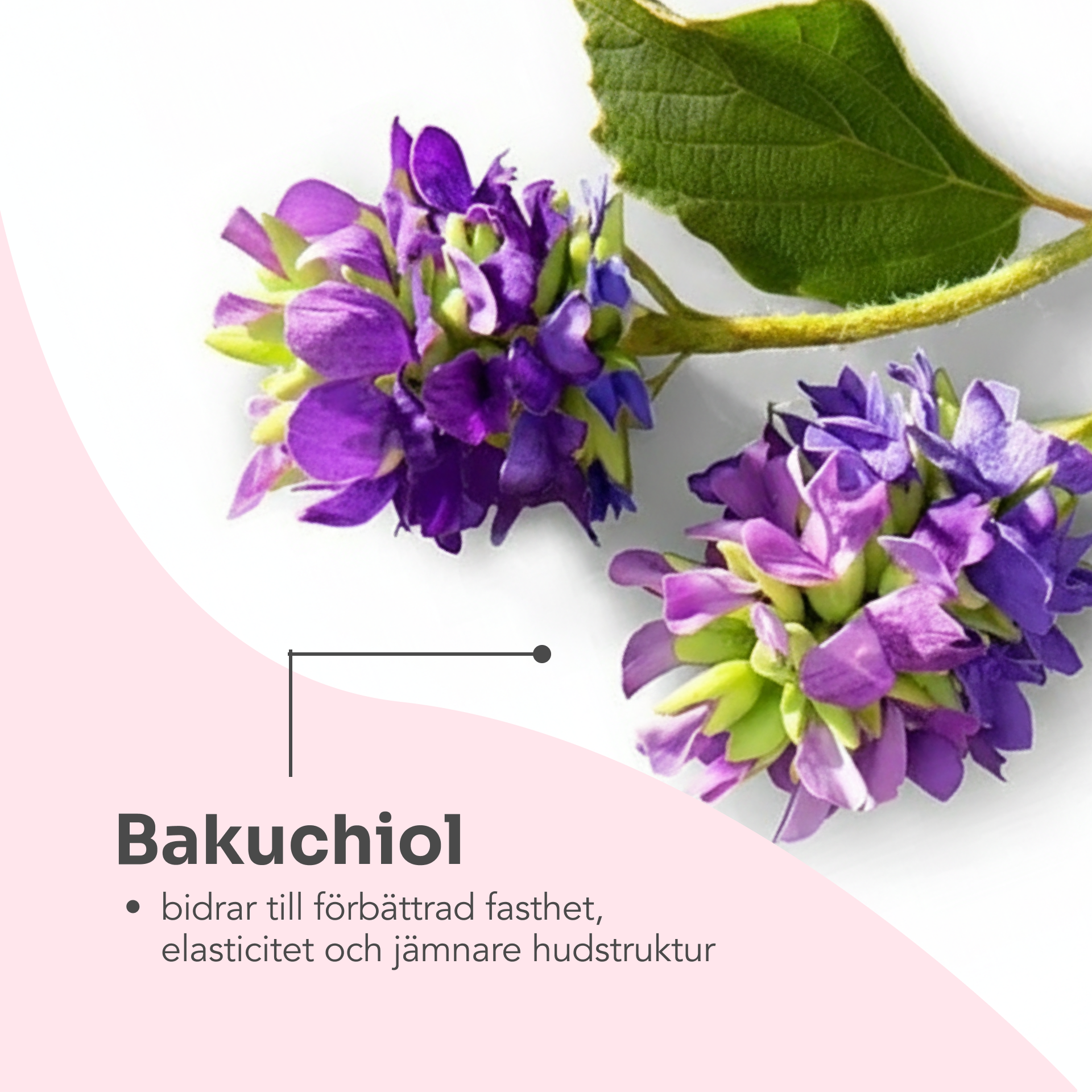 URBAN PROTECTION day cream