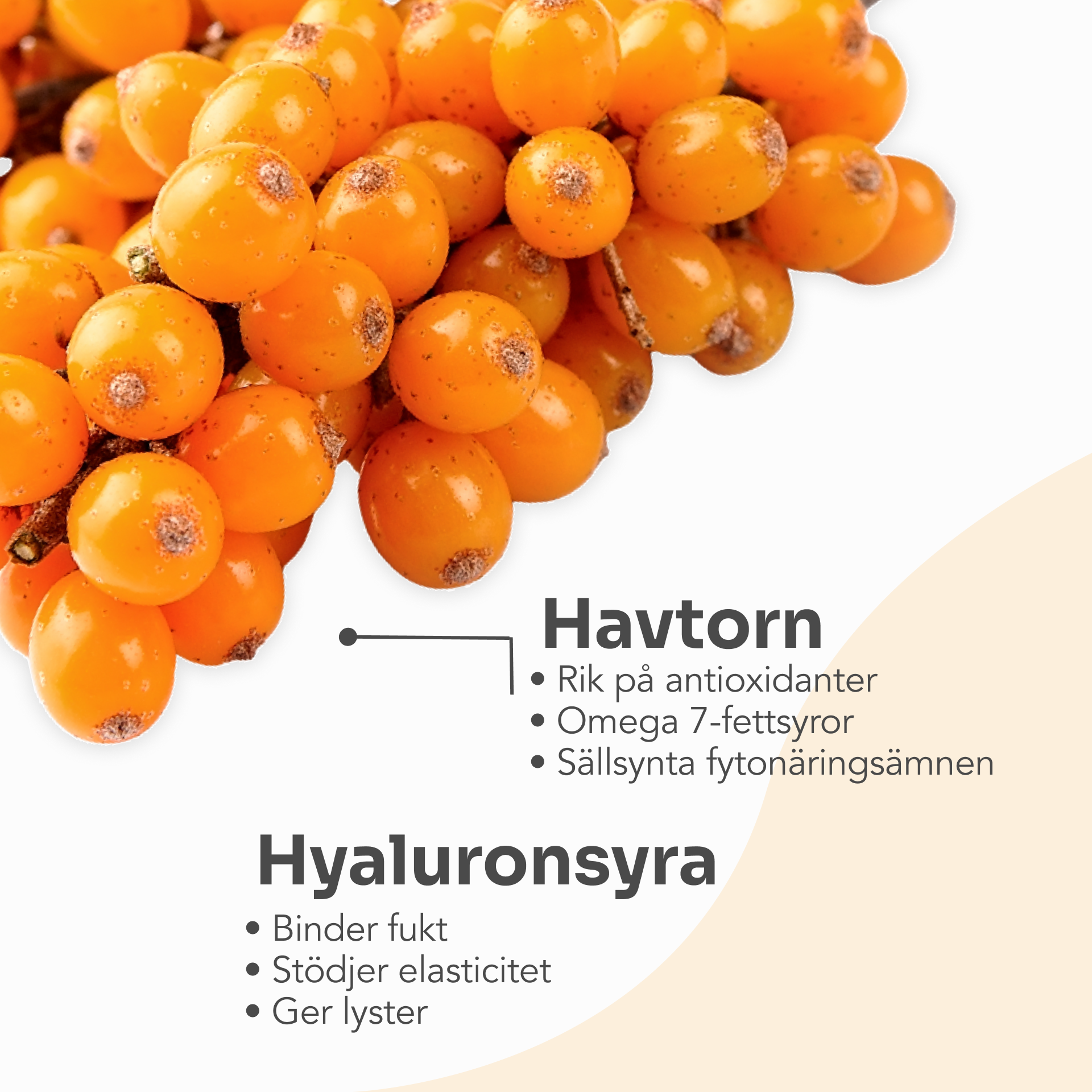 Dr.Stine Collagen with Sea Buckthorn supplement